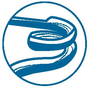 Water Slide Icon